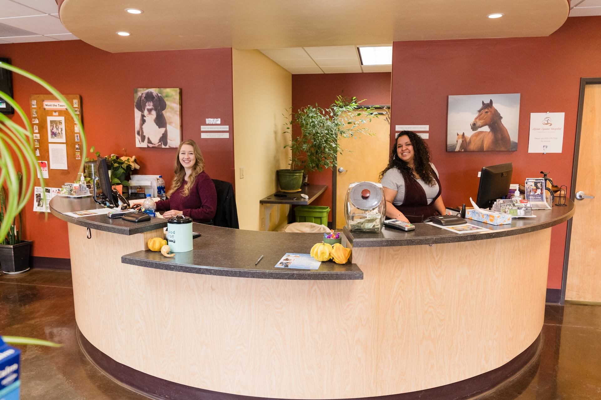 Veterinary Hospital in Carbondale