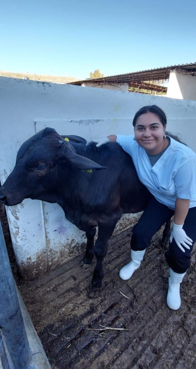 Woman in a white shirt with her arm around a cow.