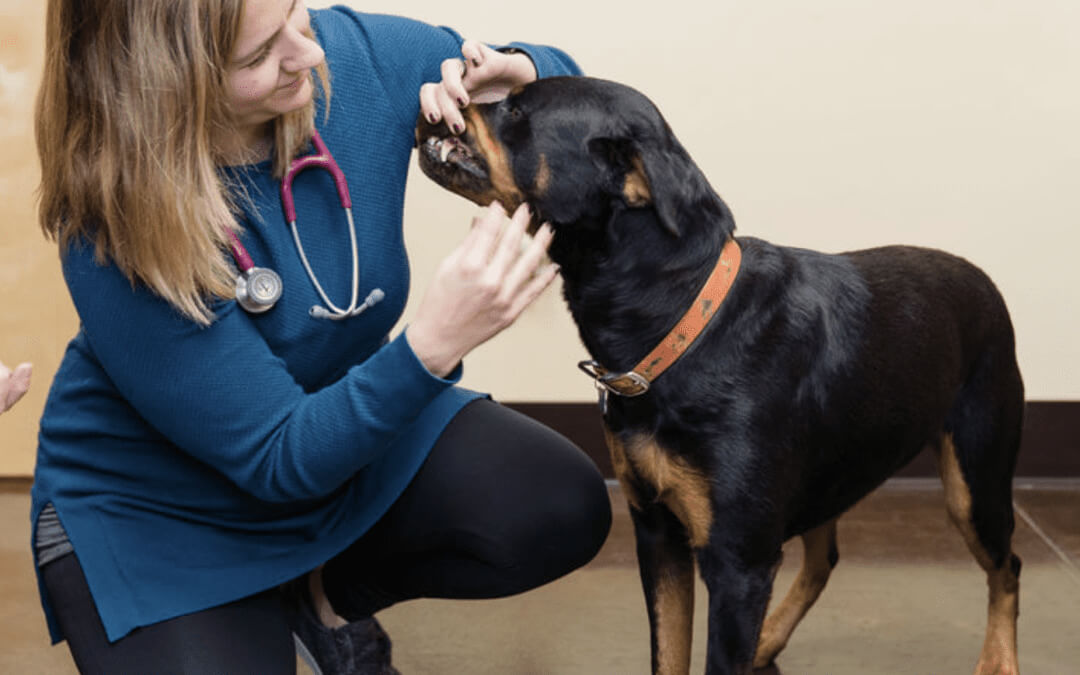 What’s All the Hype About Dental Health Month?