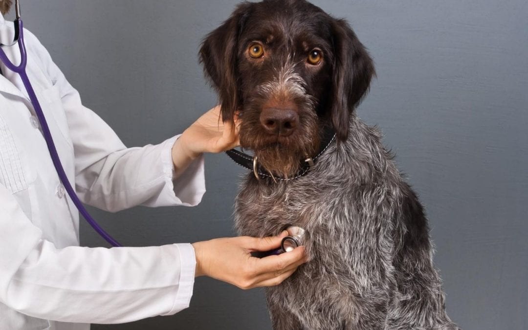 Why is Preventative Care Important?
