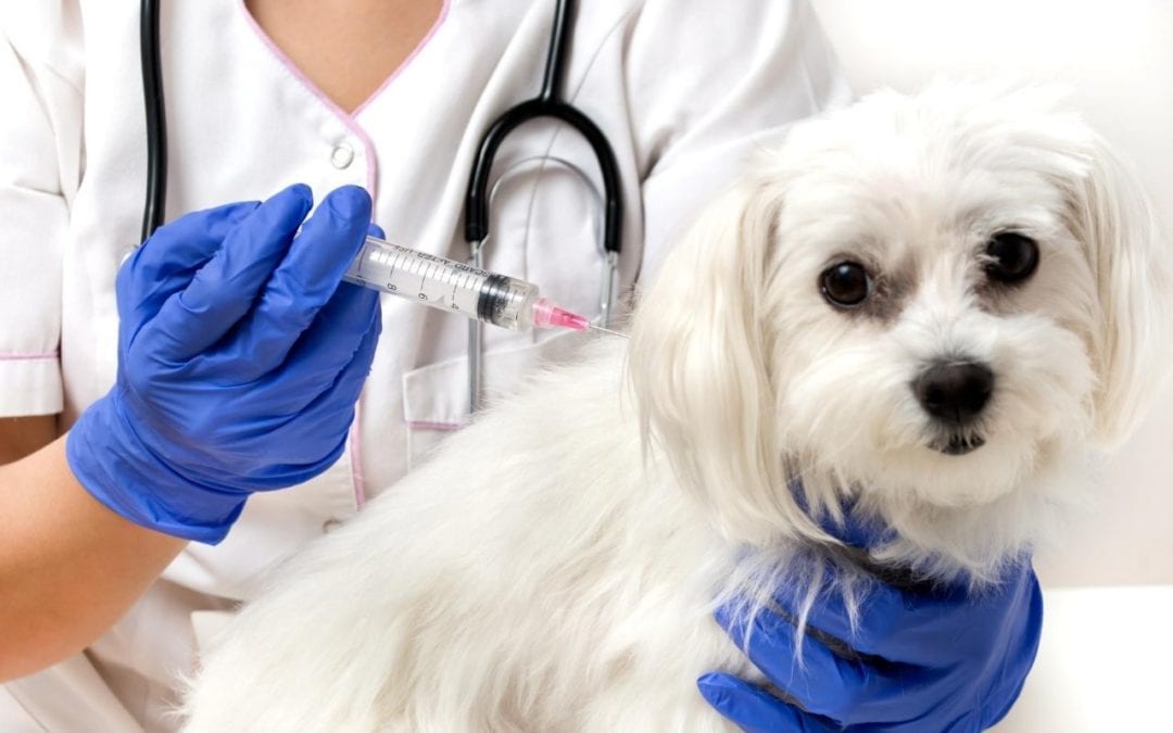 National Immunization Awareness Month
