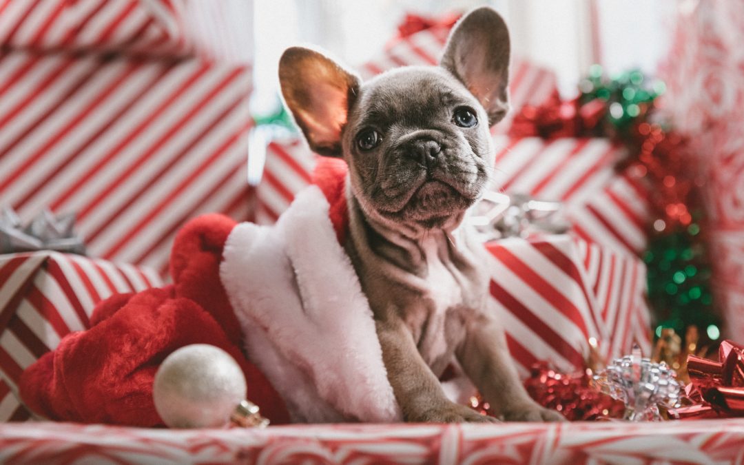 2021 Holiday Hazards