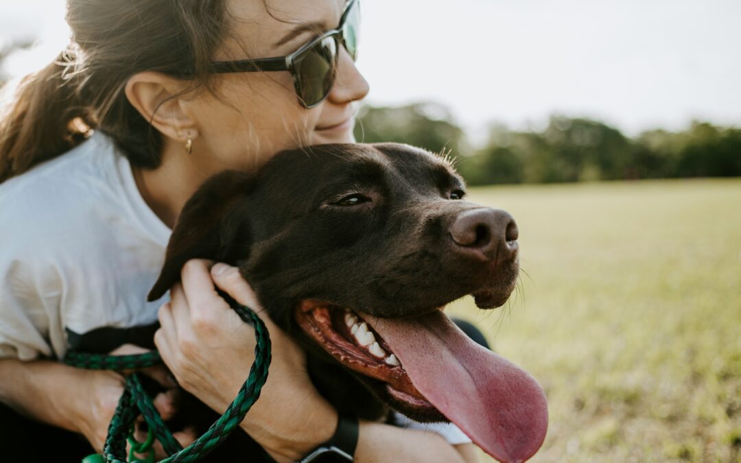 How Routine Vet Care Strengthens the Bond with Your Pet?