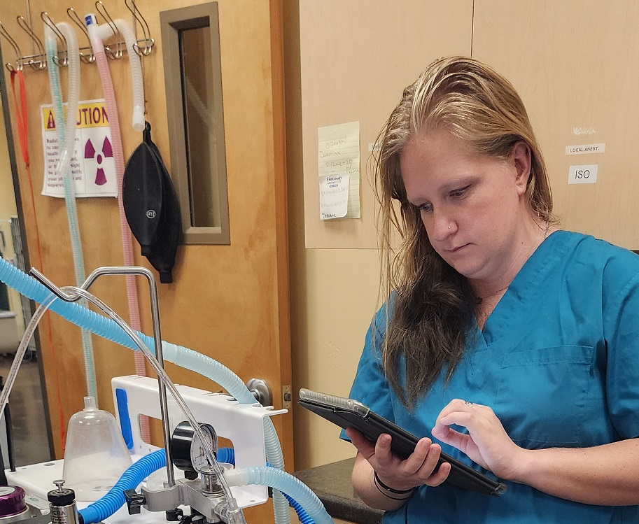 Nurse monitoring a pet under anesthesia