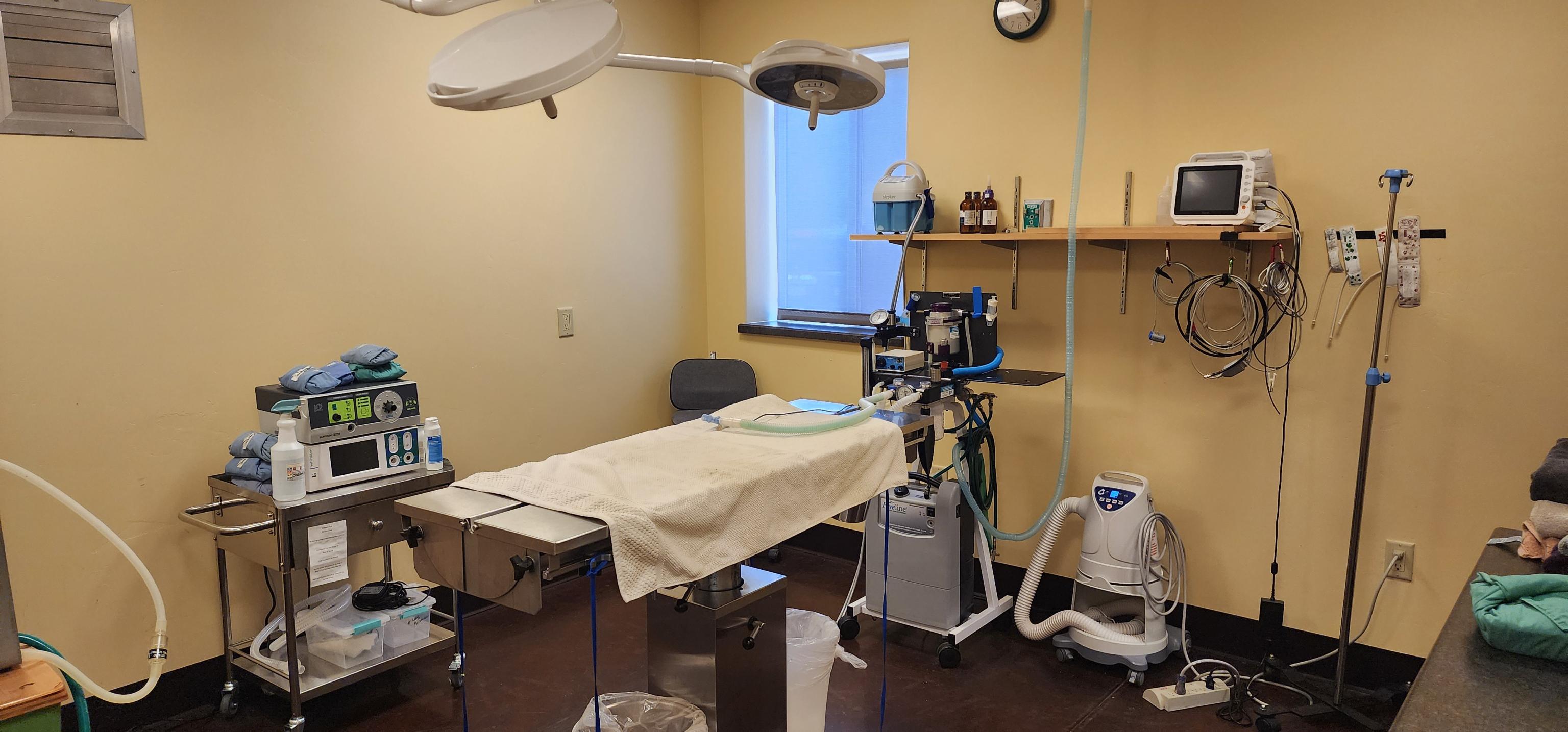 Surgical suite