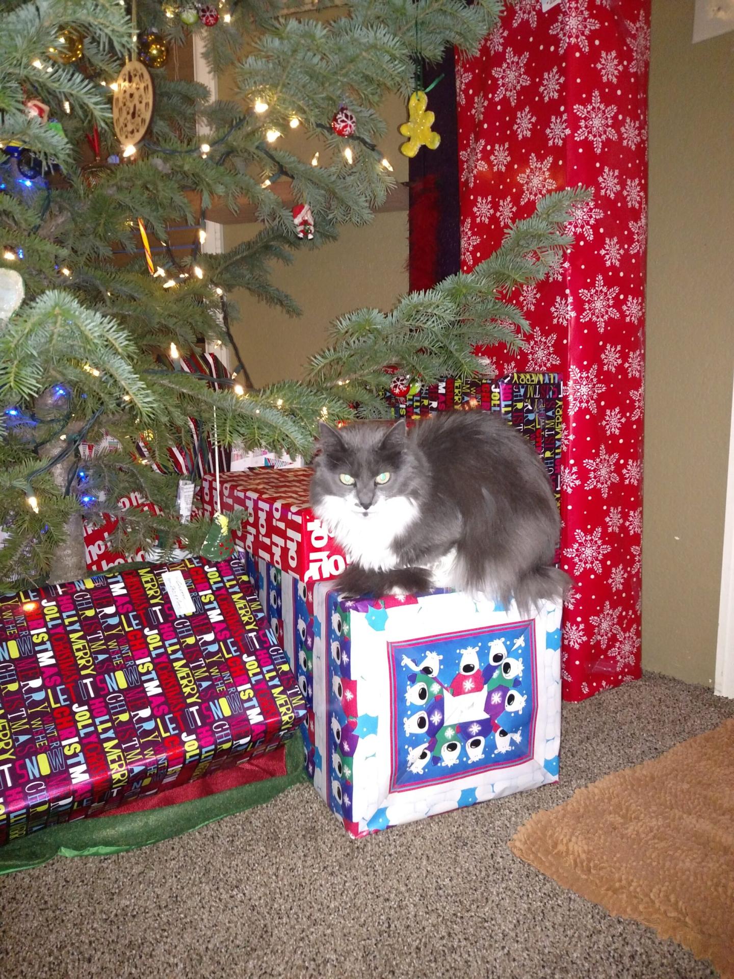Holiday 2