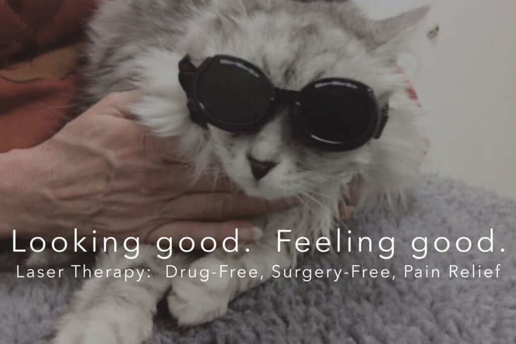 Laser Therapy in Carbondale