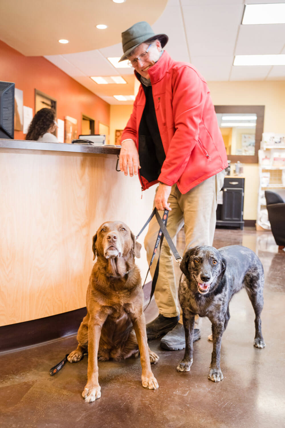 Vet Near Me