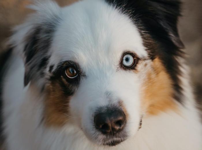 polina_kuzovkova_Kfa8yKgmJ7M_unsplash_1080_675.jpg polina_kuzovkova_Kfa8yKgmJ7M_unsplash_1080_675.jpg
