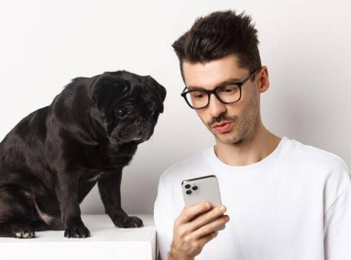 A black pug and its owner shopping on a smart phone